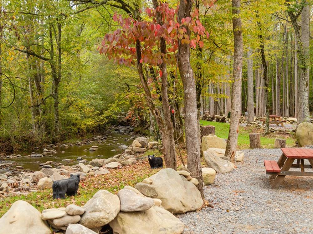 Hidden Stills RV Campground 6