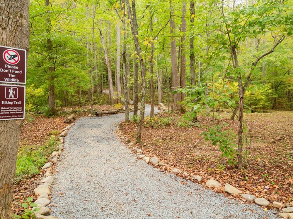 Hidden Stills RV Campground 8