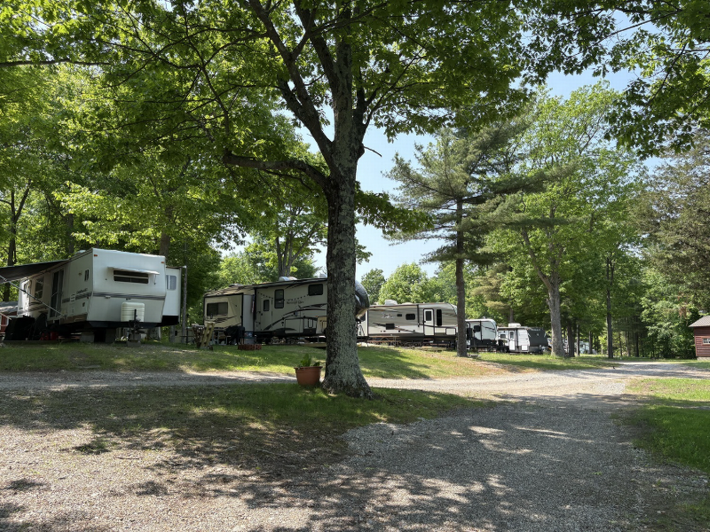 Shady sites at Back Bay Campground