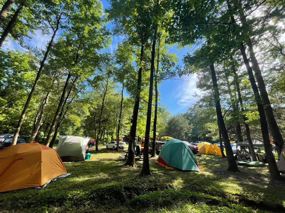 Tents under trees