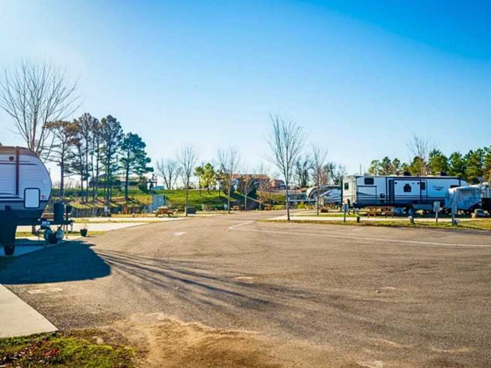 Paved road at the park