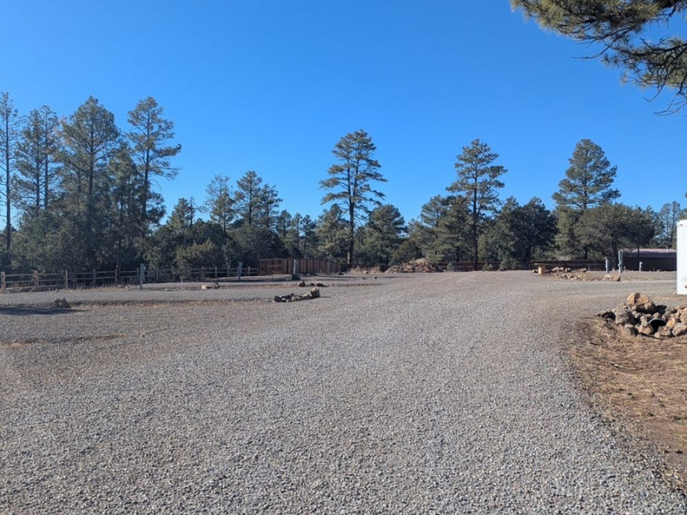 Trees at Porter Creek RV Park