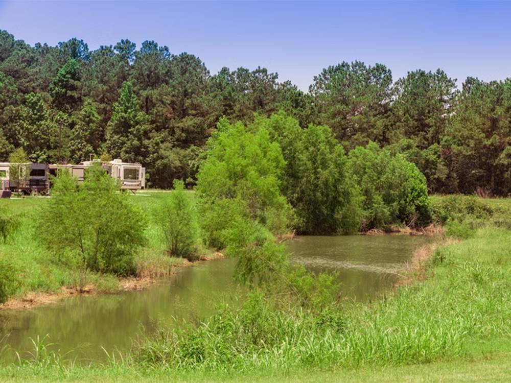 Wildwood Lakes 3