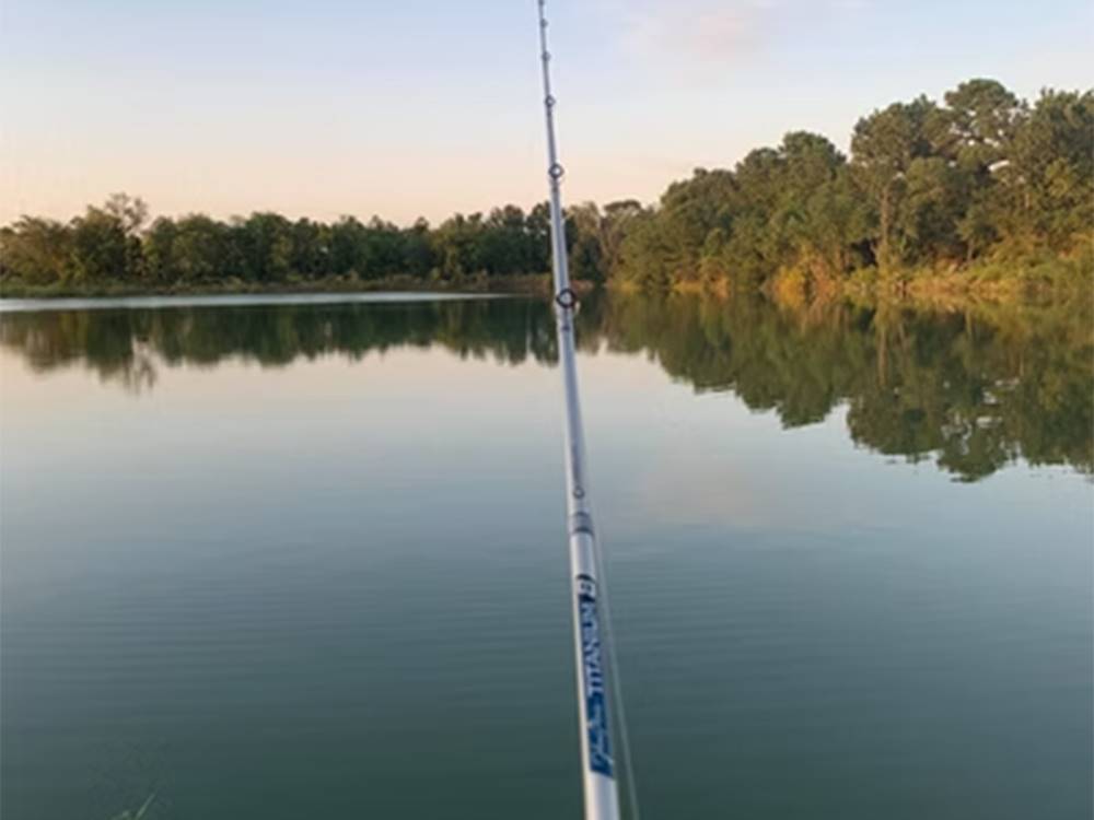 Wildwood Lakes 6