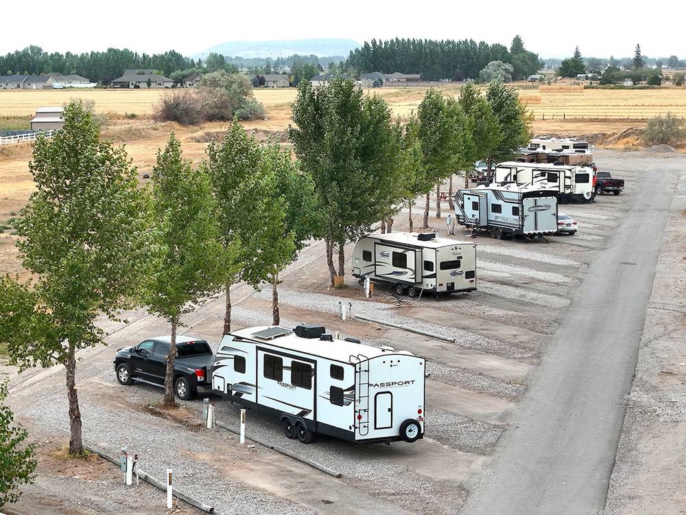 Sites with trees