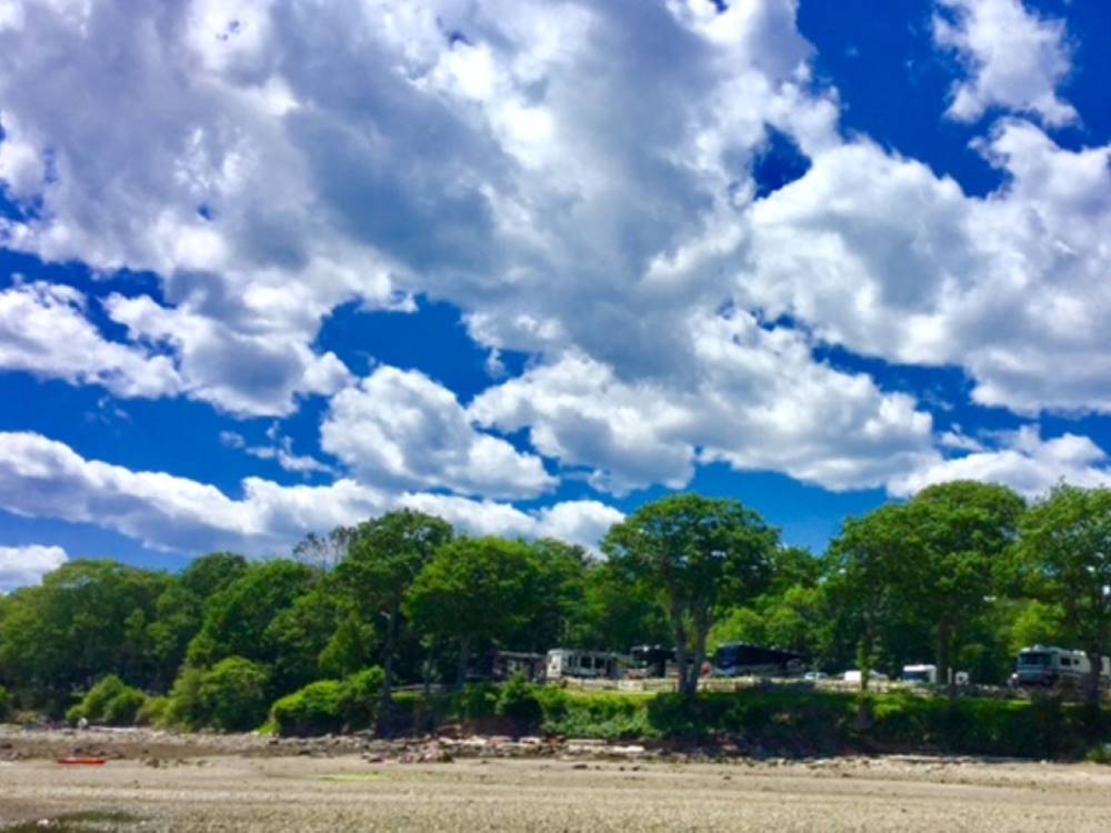 White clouds in the blue sky