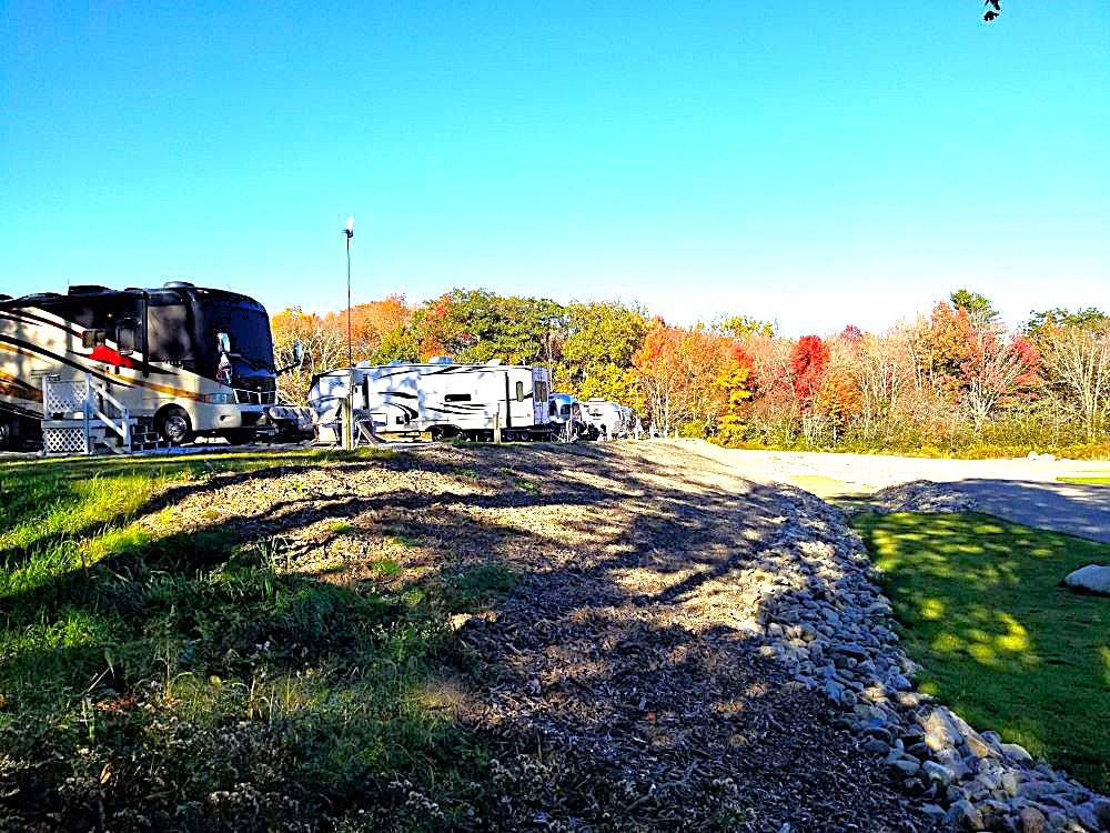 RVs and fall trees