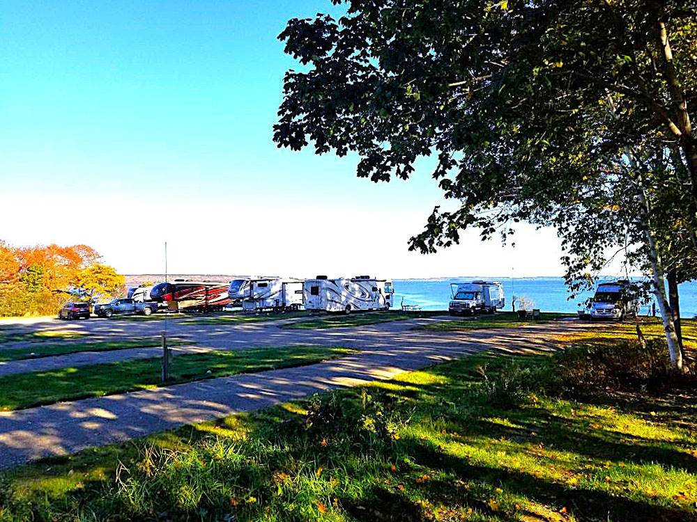 RVs parked in shady sites