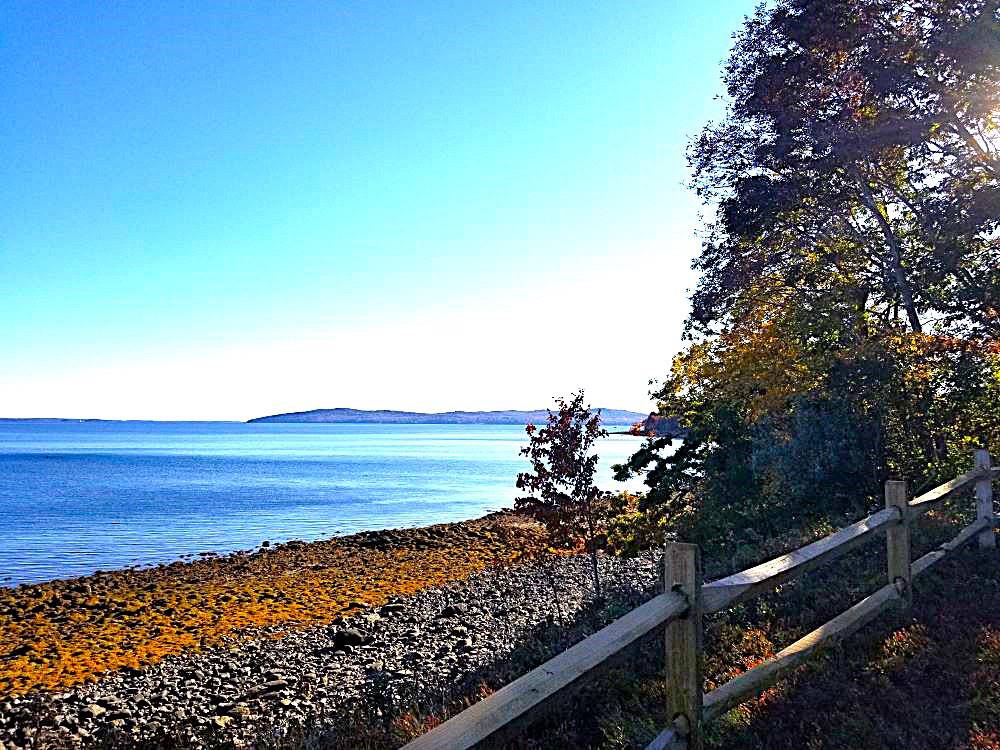 The ocean beyond a rustic fence