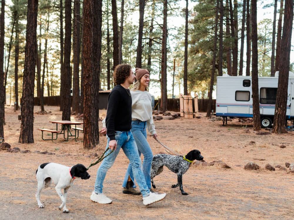 A couple walking their dog