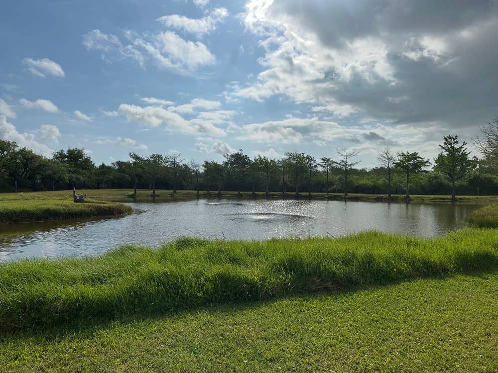 Alluring Oaks RV Park 3