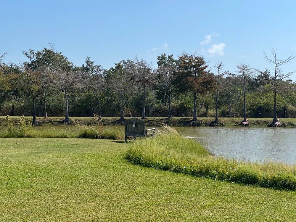 Alluring Oaks RV Park 4