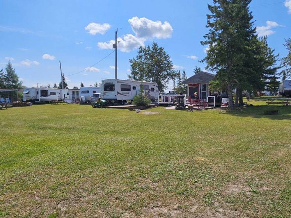 Trees by the RV sites