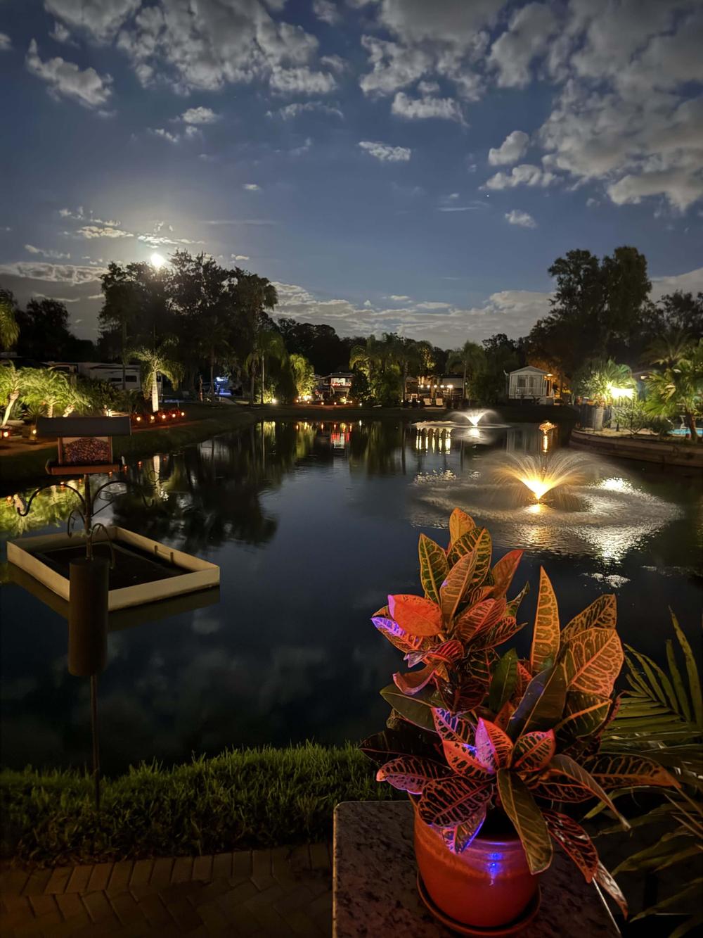 Water feature at night