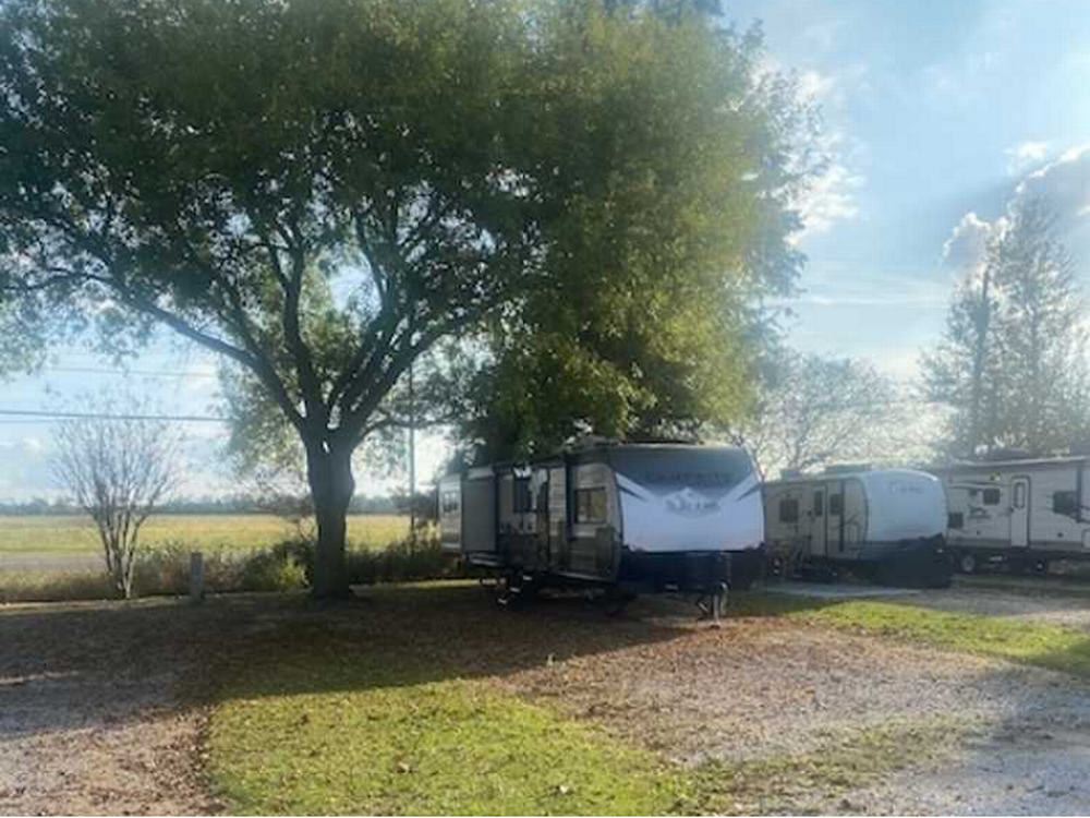 Gravel sites by the tree