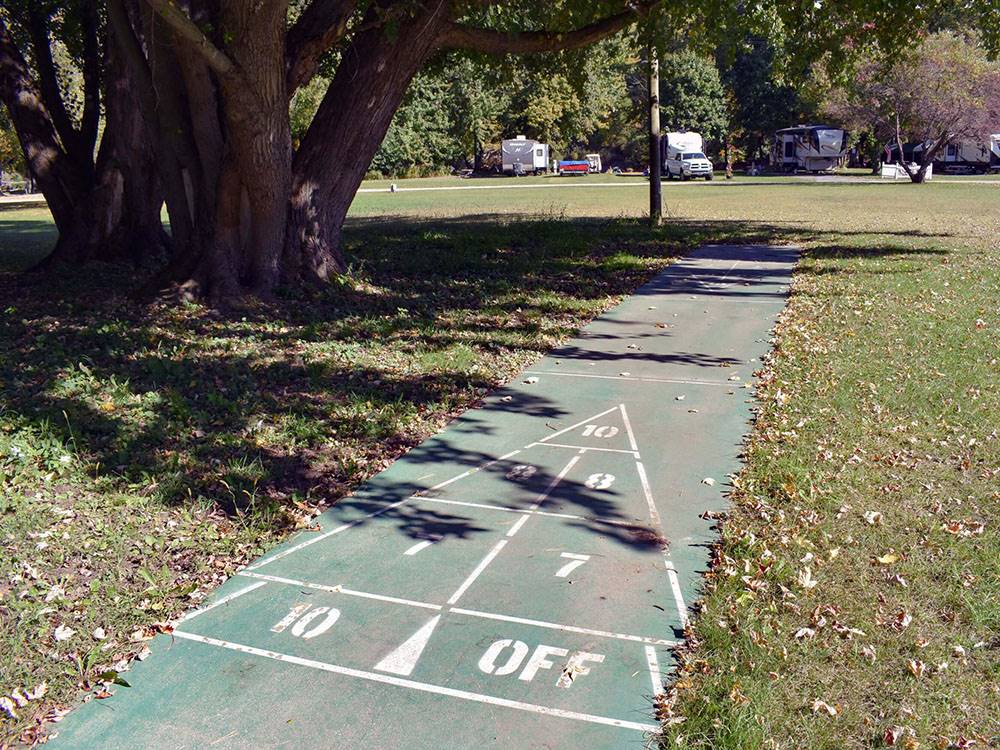 Shuffleboard in grass