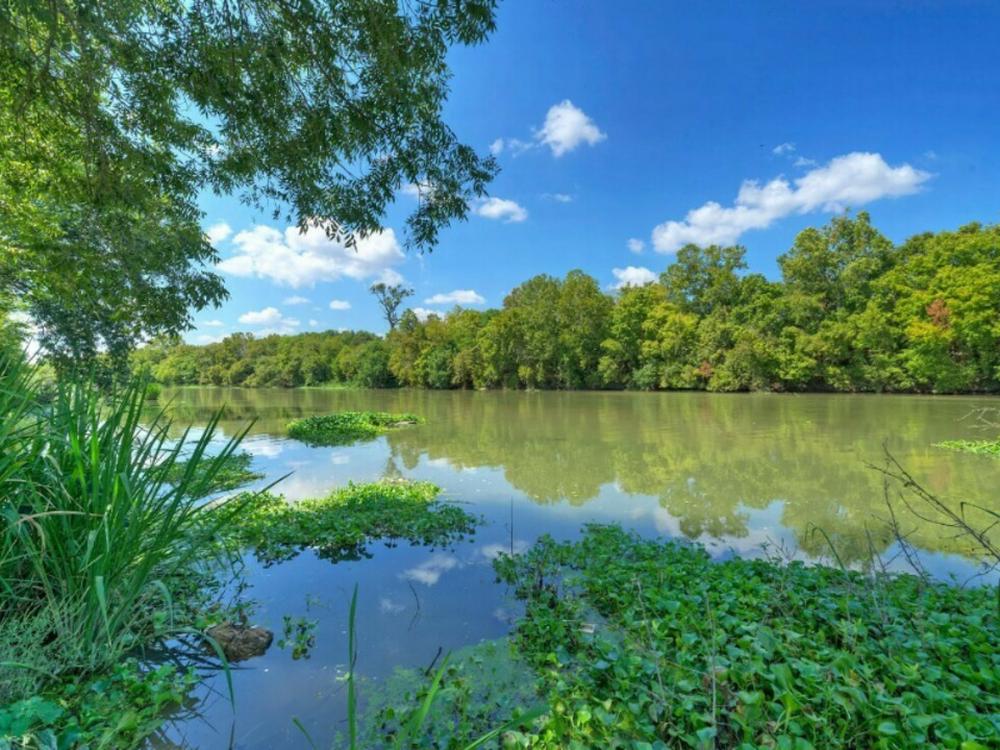 Shaded area near the water