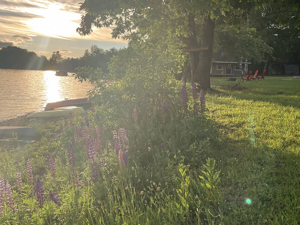 A view of the lake at dusk