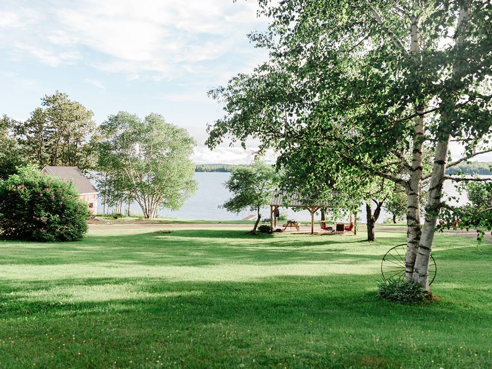 A grass area and trees
