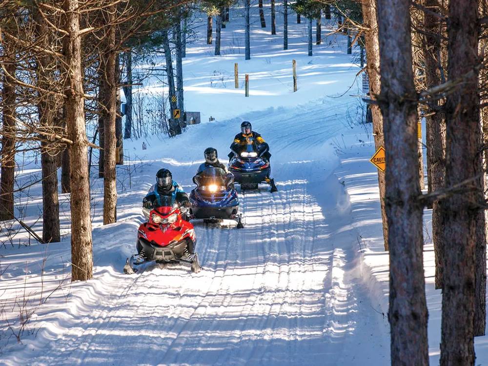 Riders on snowmobile path among trees