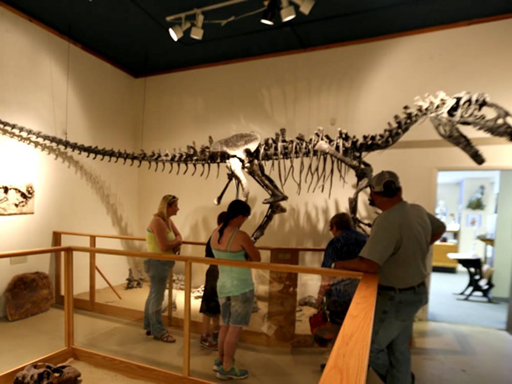 People looking at dinosaur bones in a museum