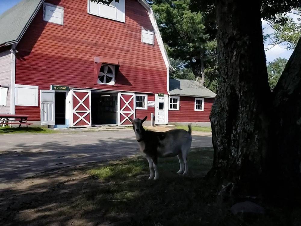 Highview Campground 4