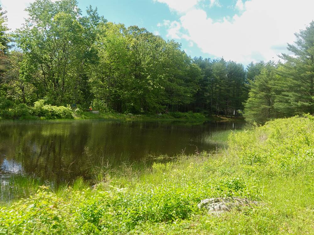 Highview Campground 9