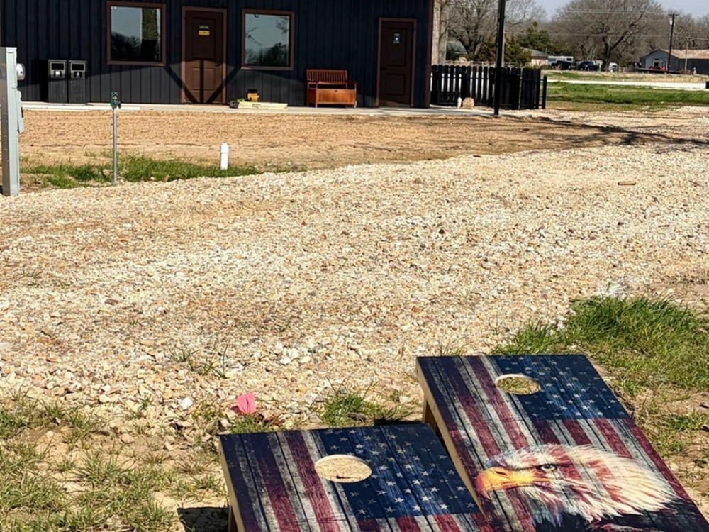 Corn hole availible