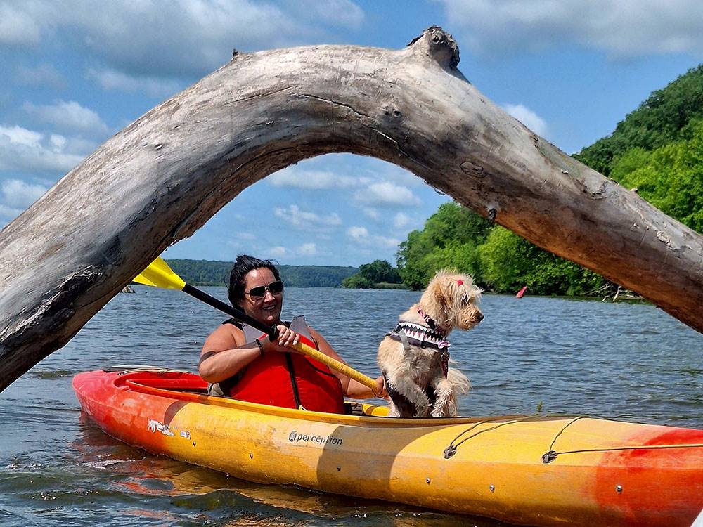 A woman and her dog kayaking under a log