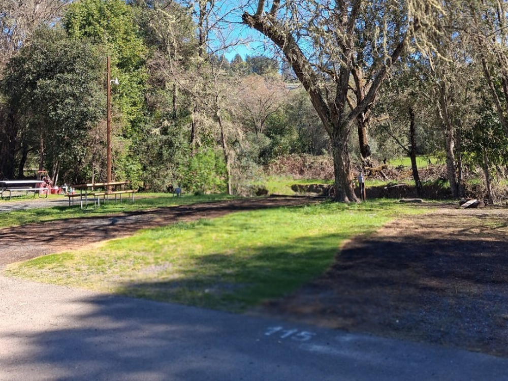 Site 115 at park