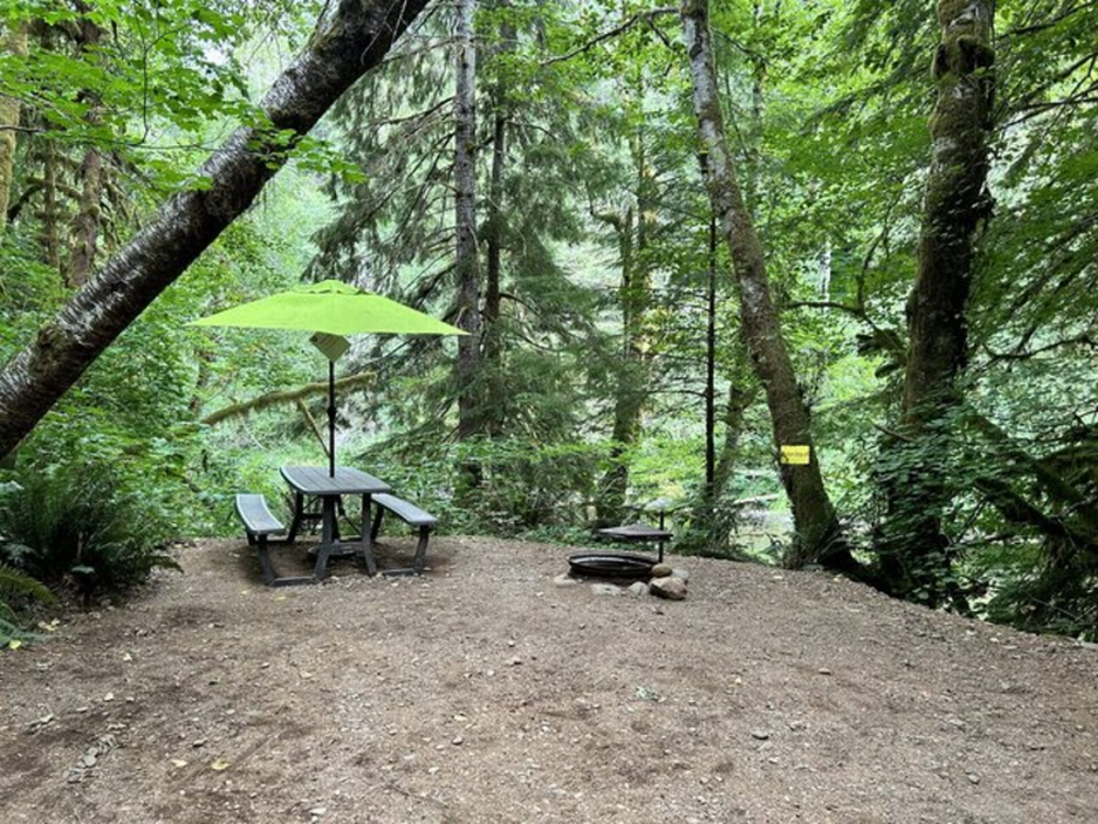 Dawley's Solduc River Campground 2