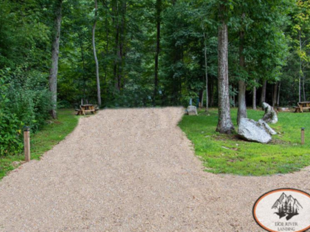 Green trees at site