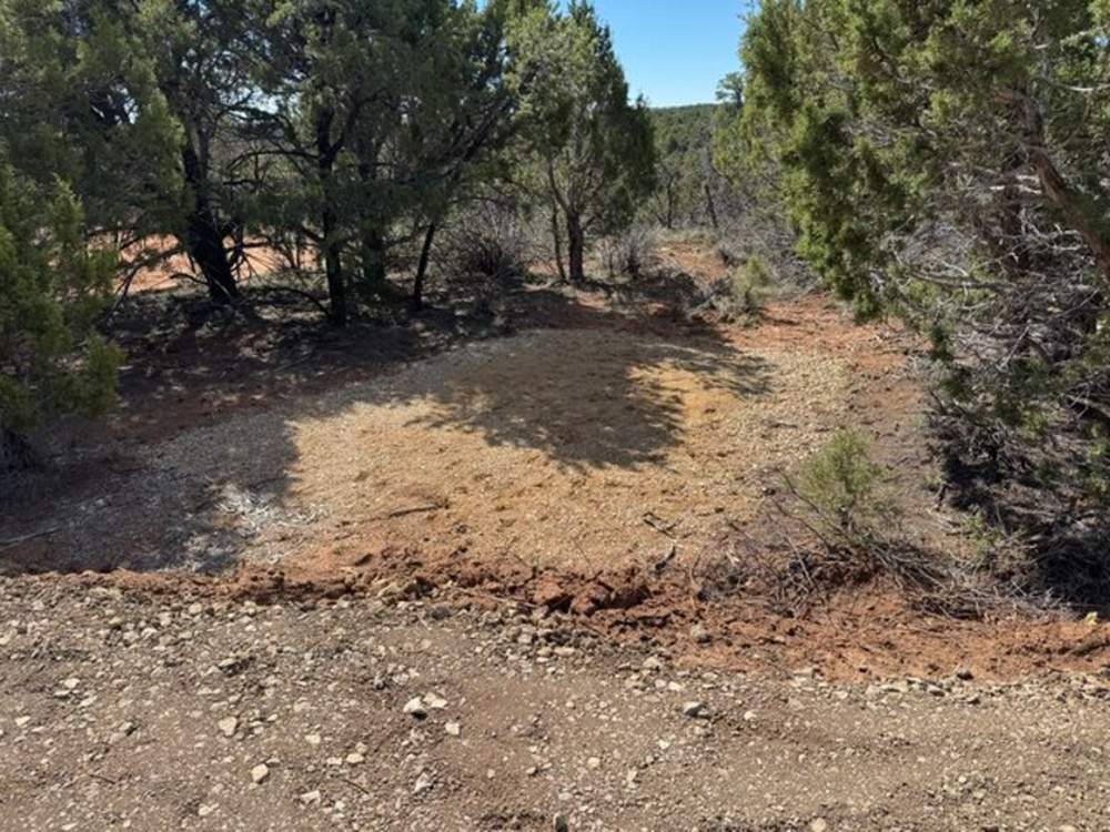 Canyonlands Basecamp 5