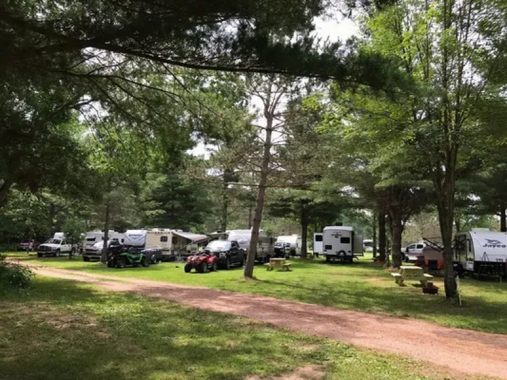 Dirt road at park