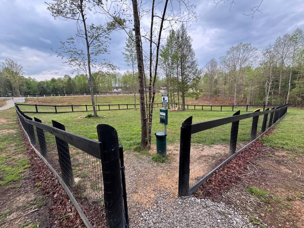 Campground Image