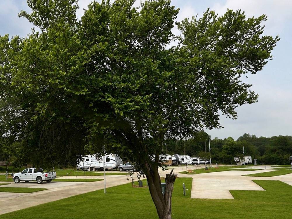 Trucks and trailers parked in sites