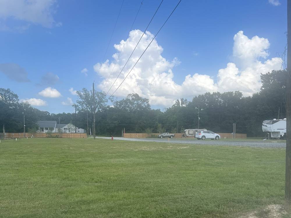Green area in park