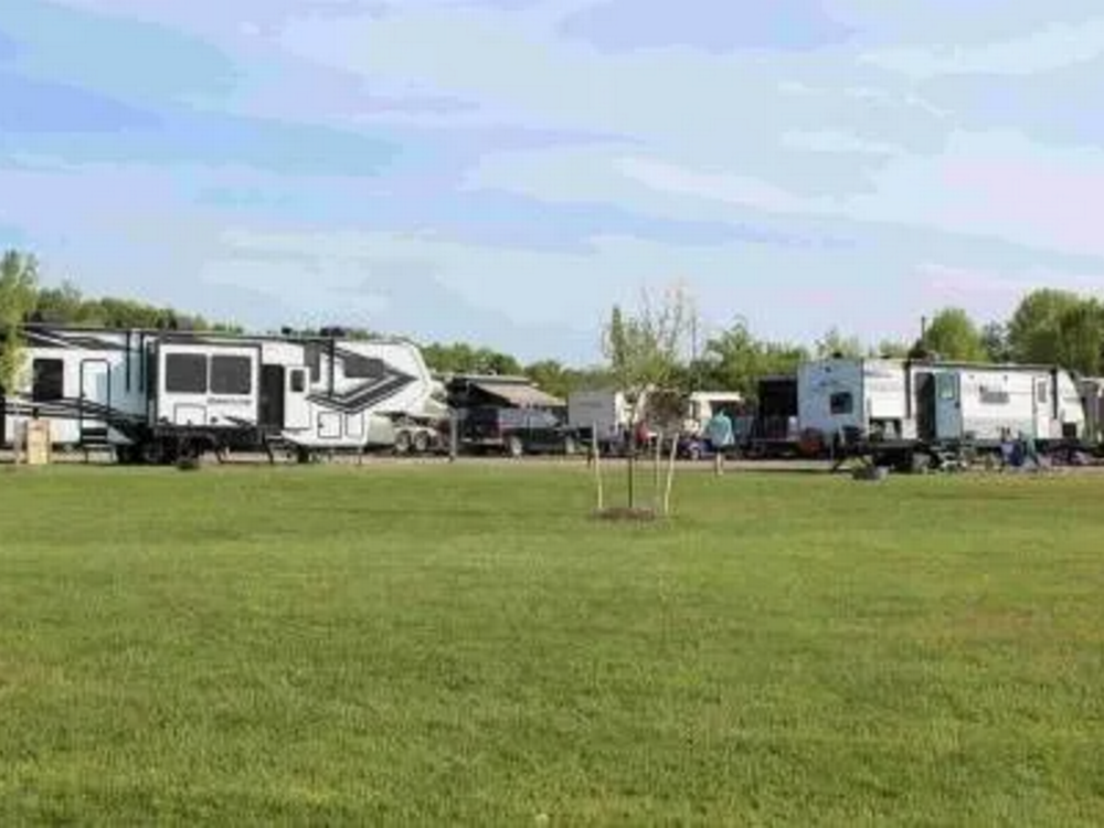 Rows of RVs