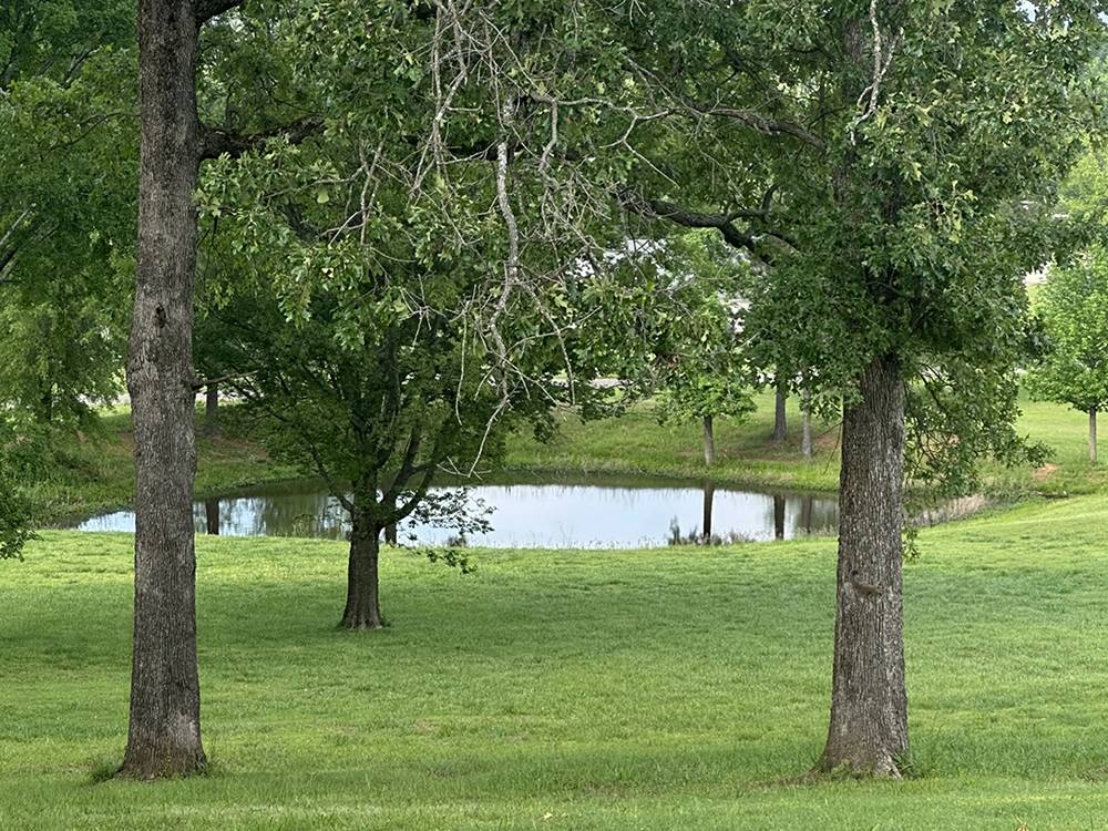 Grassy area near water
