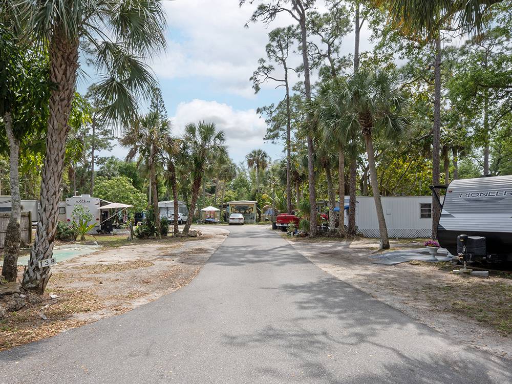 RV sites along a tree-lined road