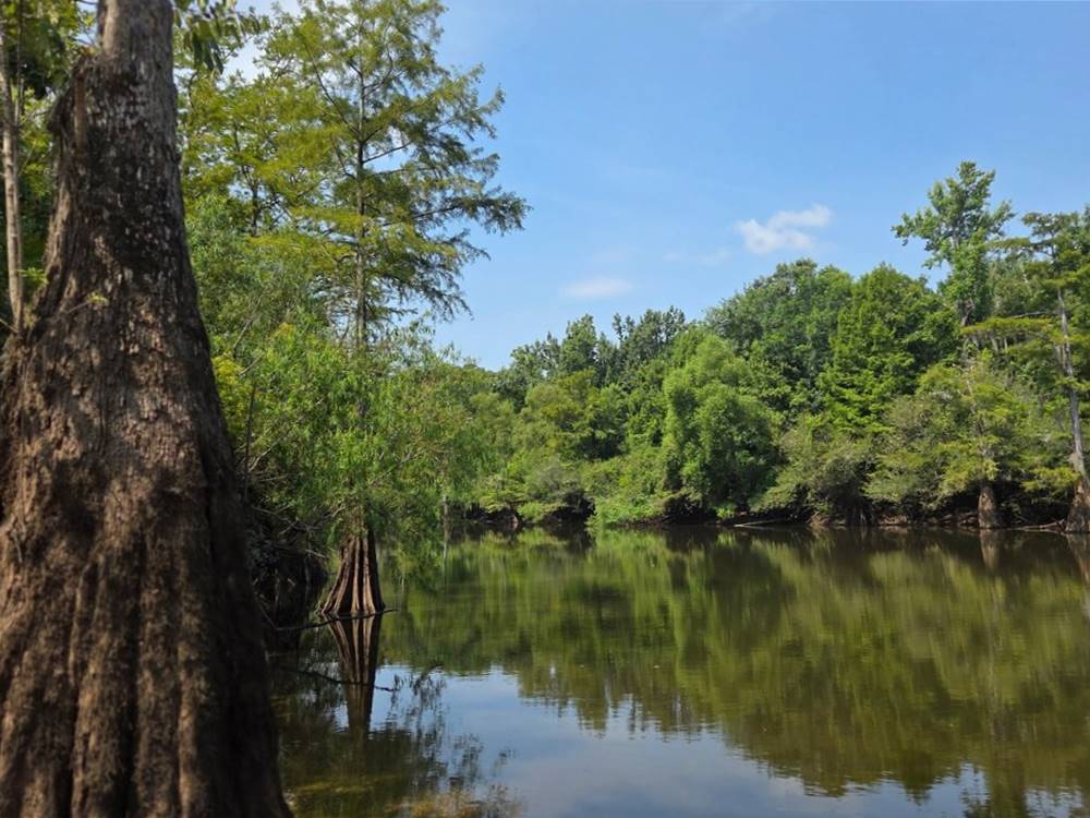 The calm river