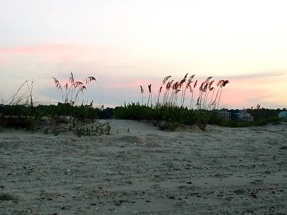 The beach at sunset