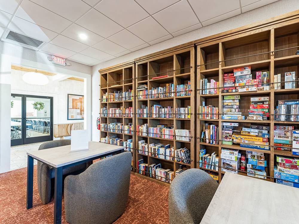 Books and games at park