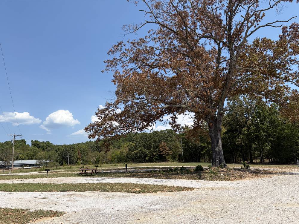 An RV site with a table