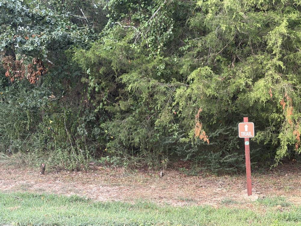 A nature trail