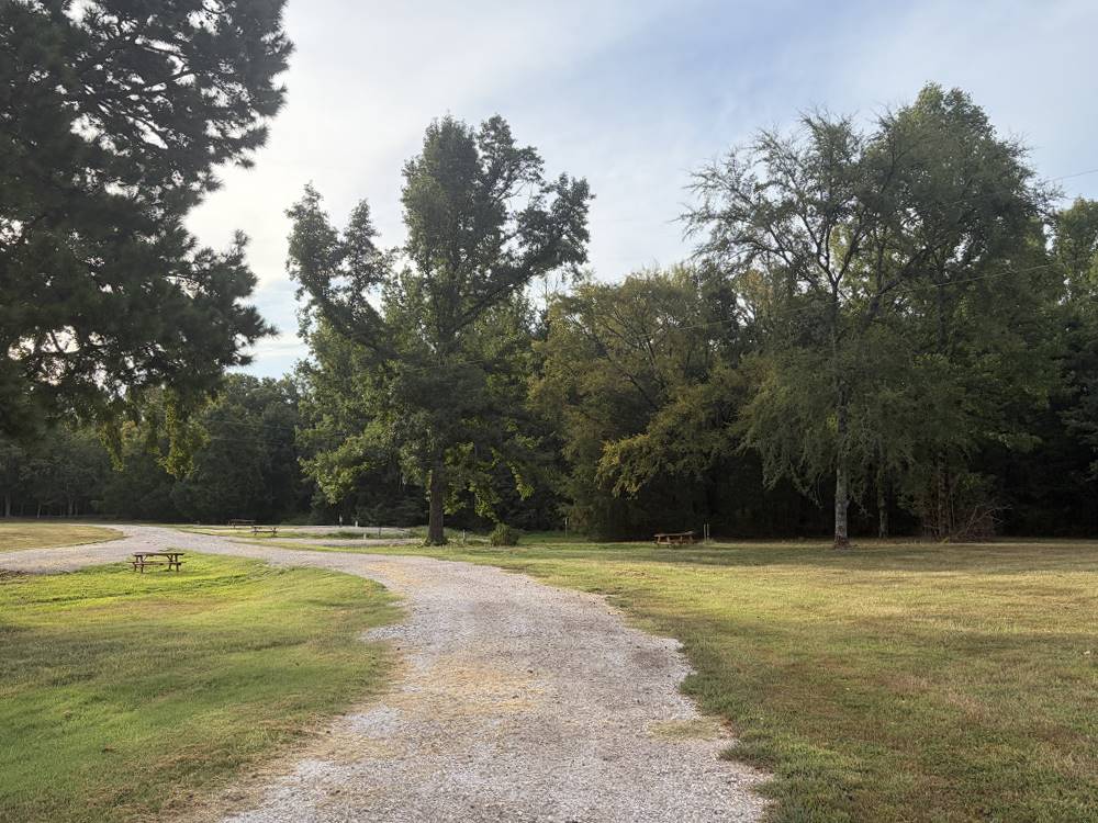 A grass lined path