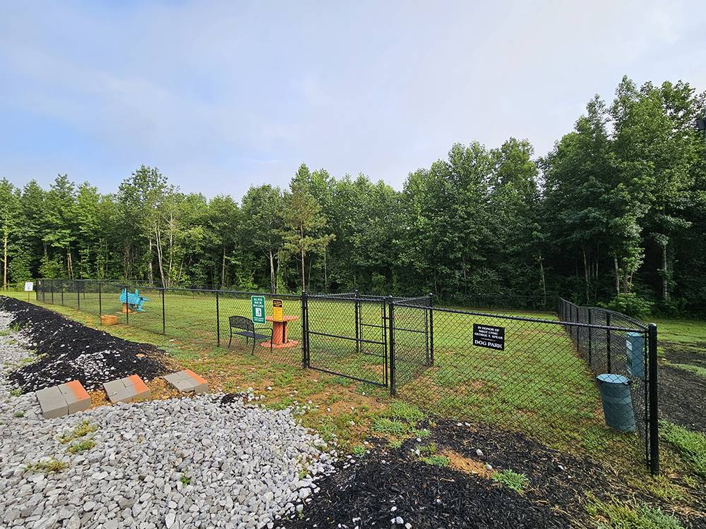 The dog park