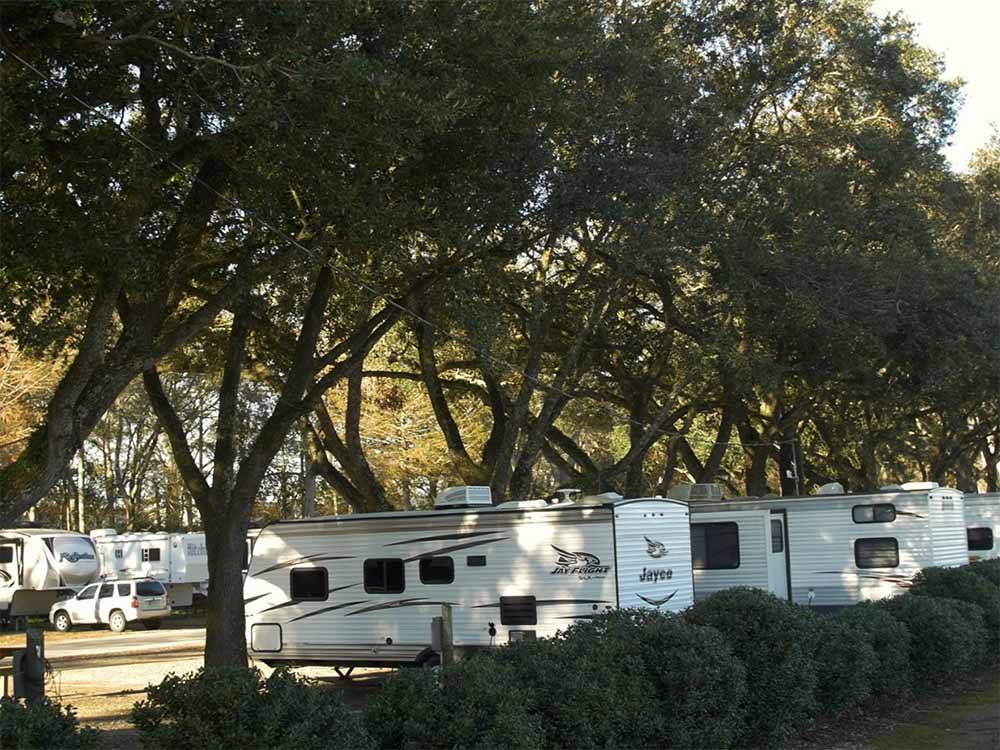 Rows of tree lined RV sites at MAXIES CAMPGROUND