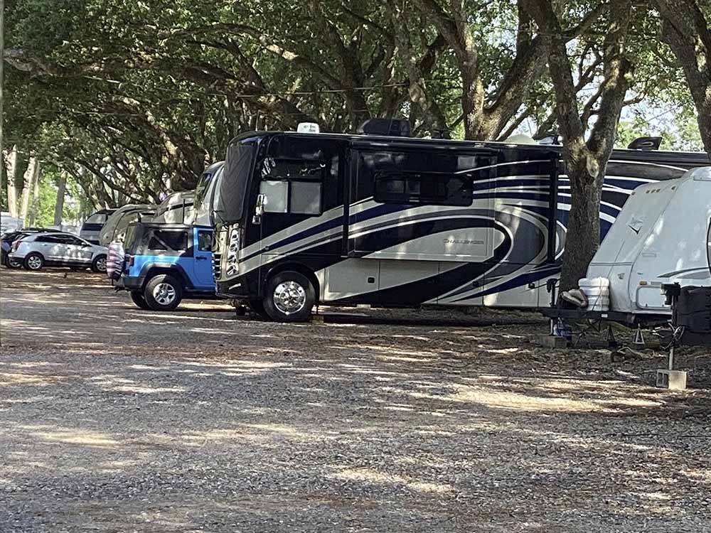 A row of RV sites under trees at MAXIE'S CAMPGROUND