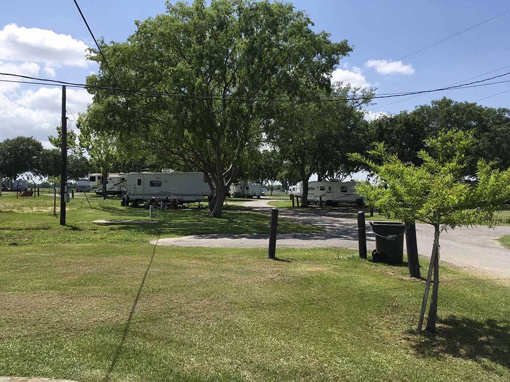 Green grassy area and trees with RVs parked in distance at WEEKS ISLAND RV PARK